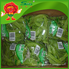 IQF green peas price ( frozen snow peas) snap pea pods